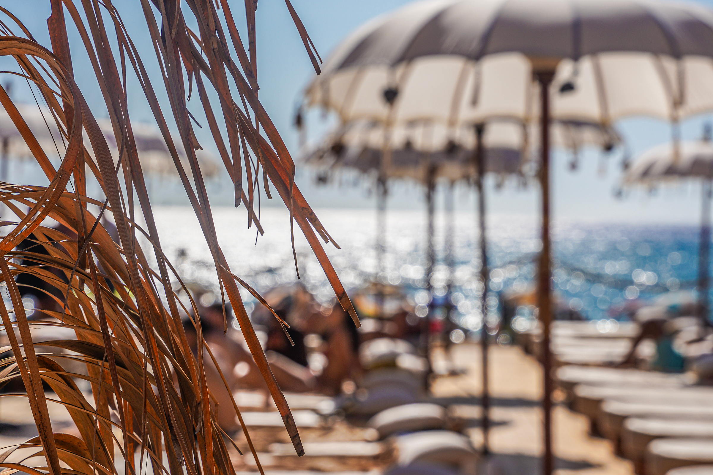 Parasols et lits du Kabana face à l’Atlantique